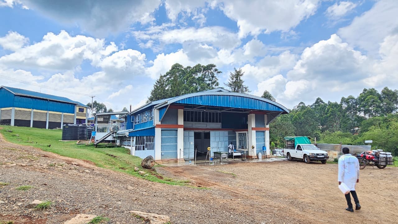 Kabianga dairy cooperative operations