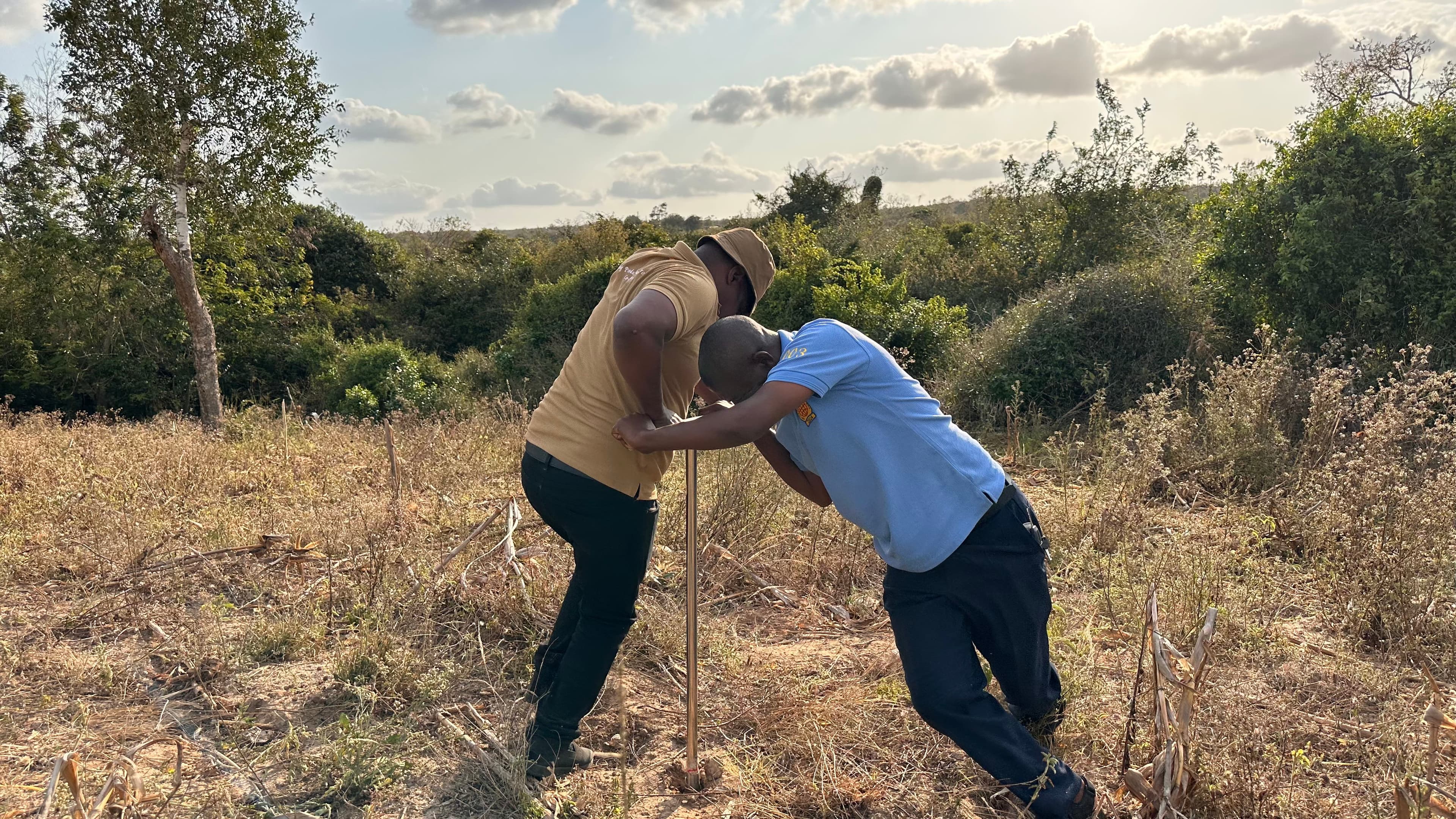 Carbon credit field activities