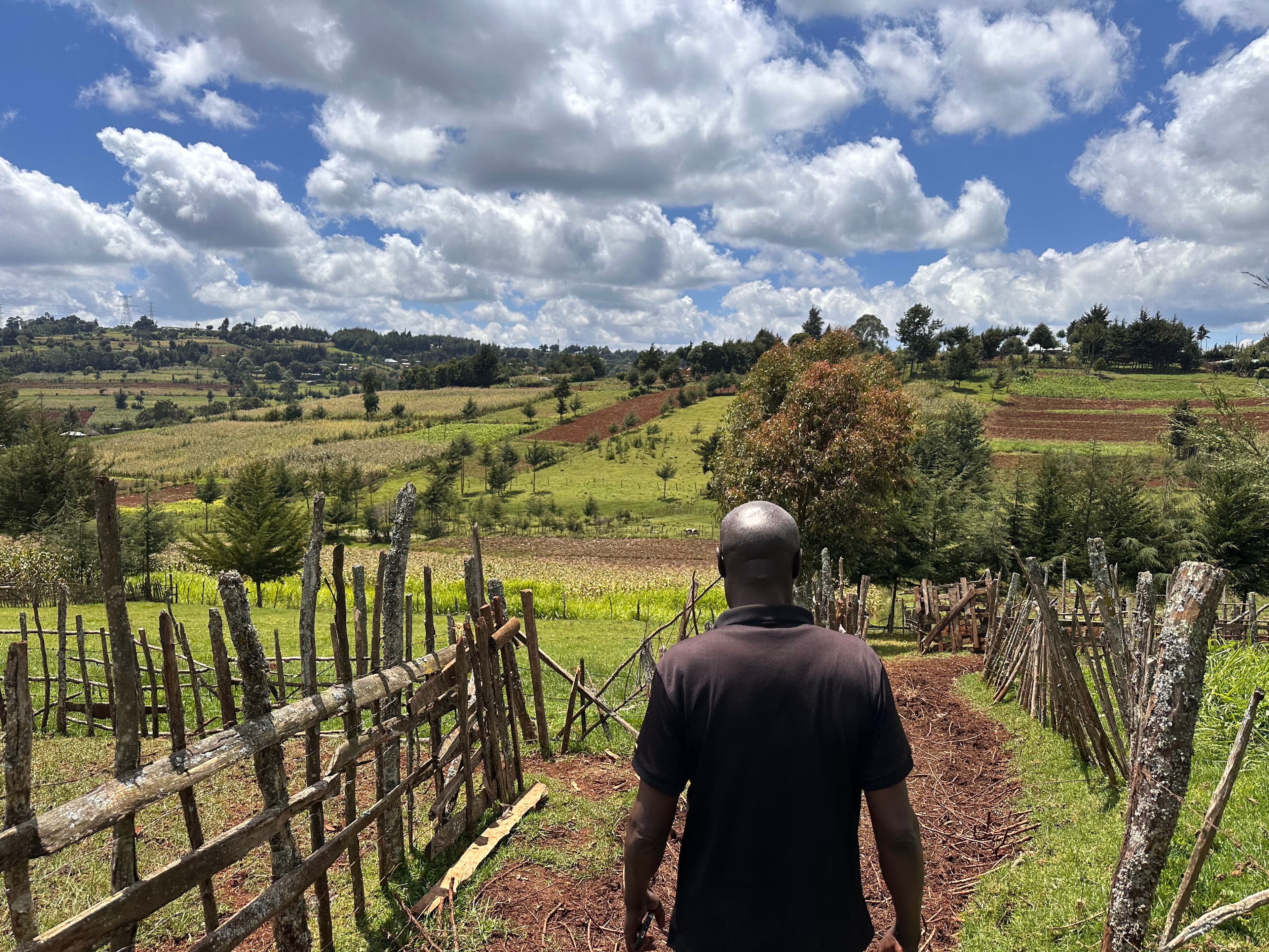 Carbon credit soil testing